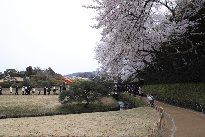 2013-夢婚